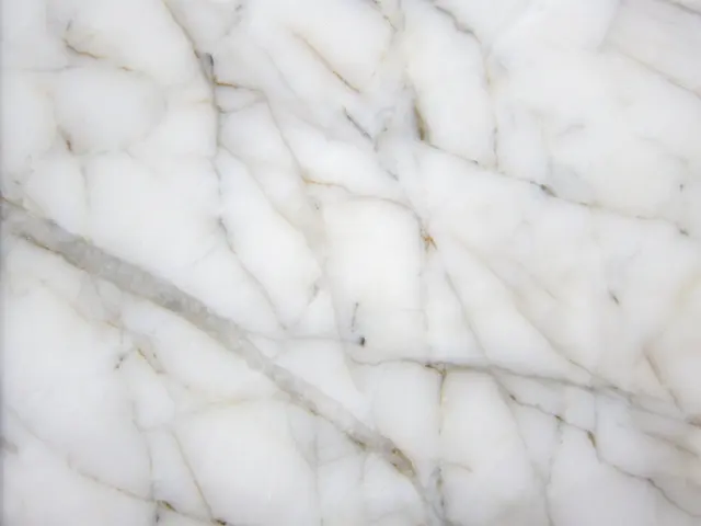 LX베툴라 원장