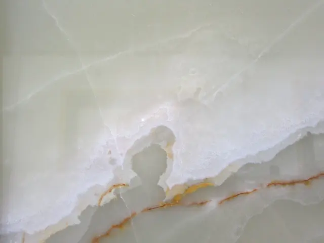 LX베르데오닉스 원장
